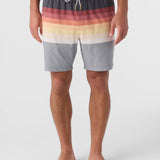 Summer 17" Boardshorts