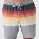 Summer 17" Boardshorts