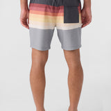 Summer 17" Boardshorts