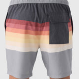 Summer 17" Boardshorts