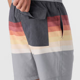 Summer 17" Boardshorts