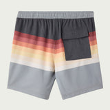 Summer 17" Boardshorts