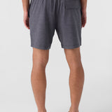 Summer 17" Boardshorts