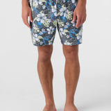 Summer 17" Boardshorts