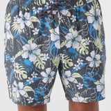 Summer 17" Boardshorts