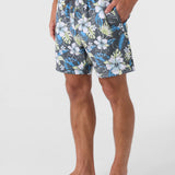 Summer 17" Boardshorts