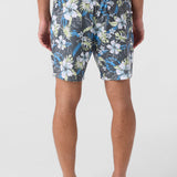 Summer 17" Boardshorts