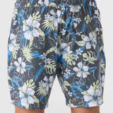 Summer 17" Boardshorts