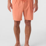 Summer 17" Boardshorts