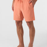 Summer 17" Boardshorts