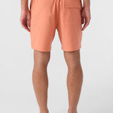 Summer 17" Boardshorts