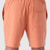 Summer 17" Boardshorts