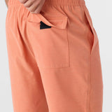 Summer 17" Boardshorts