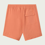 Summer 17" Boardshorts