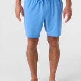 Summer 17" Boardshorts