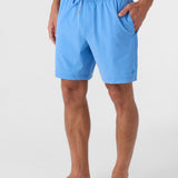 Summer 17" Boardshorts