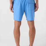 Summer 17" Boardshorts