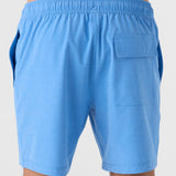 Summer 17" Boardshorts