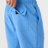 Summer 17" Boardshorts