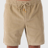 Picnic 18" Shorts