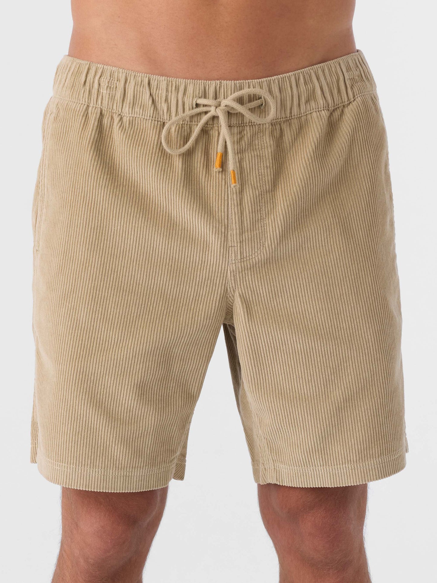 Picnic 18" Shorts