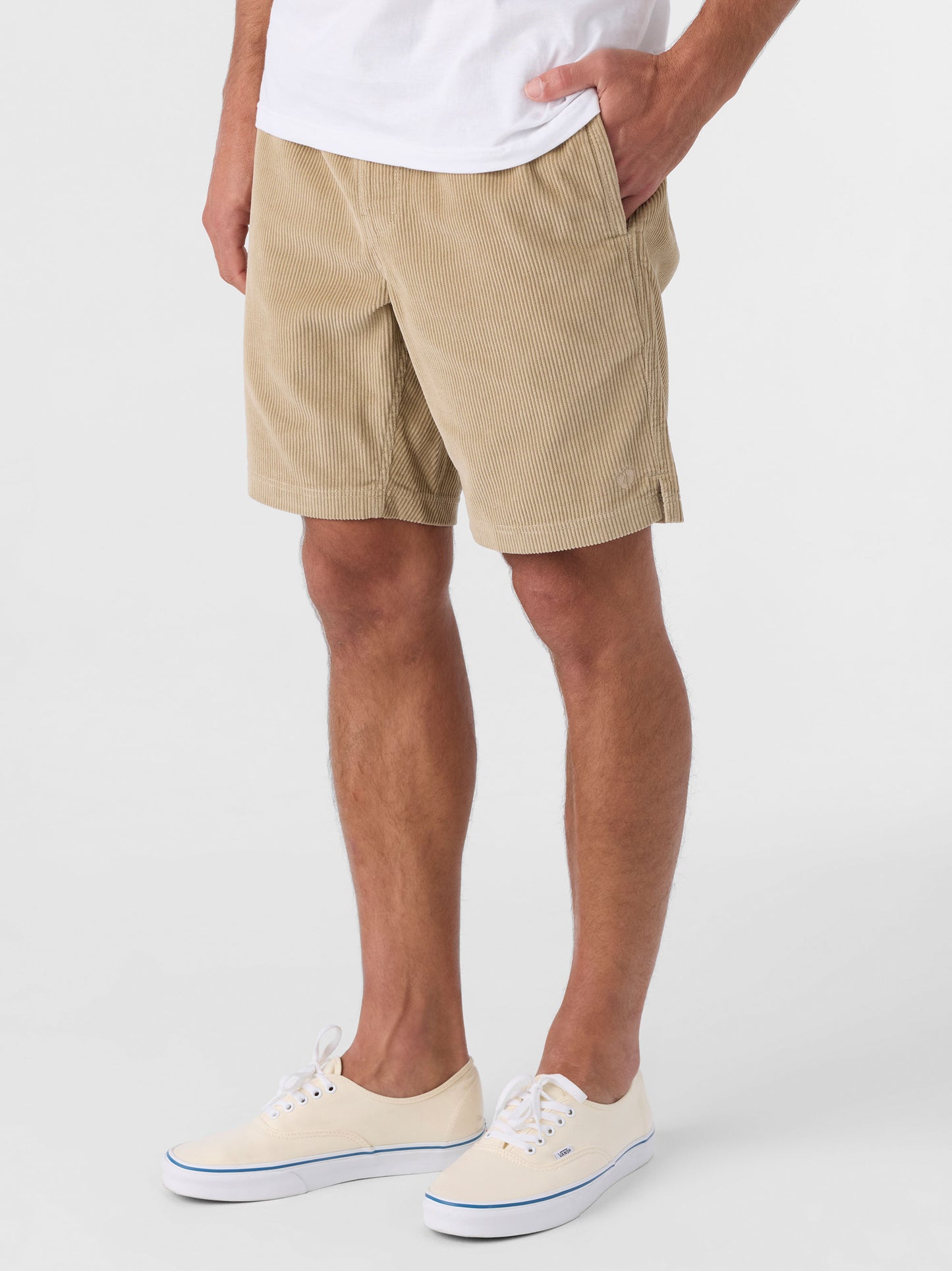 Picnic 18" Shorts