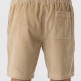 Picnic 18" Shorts