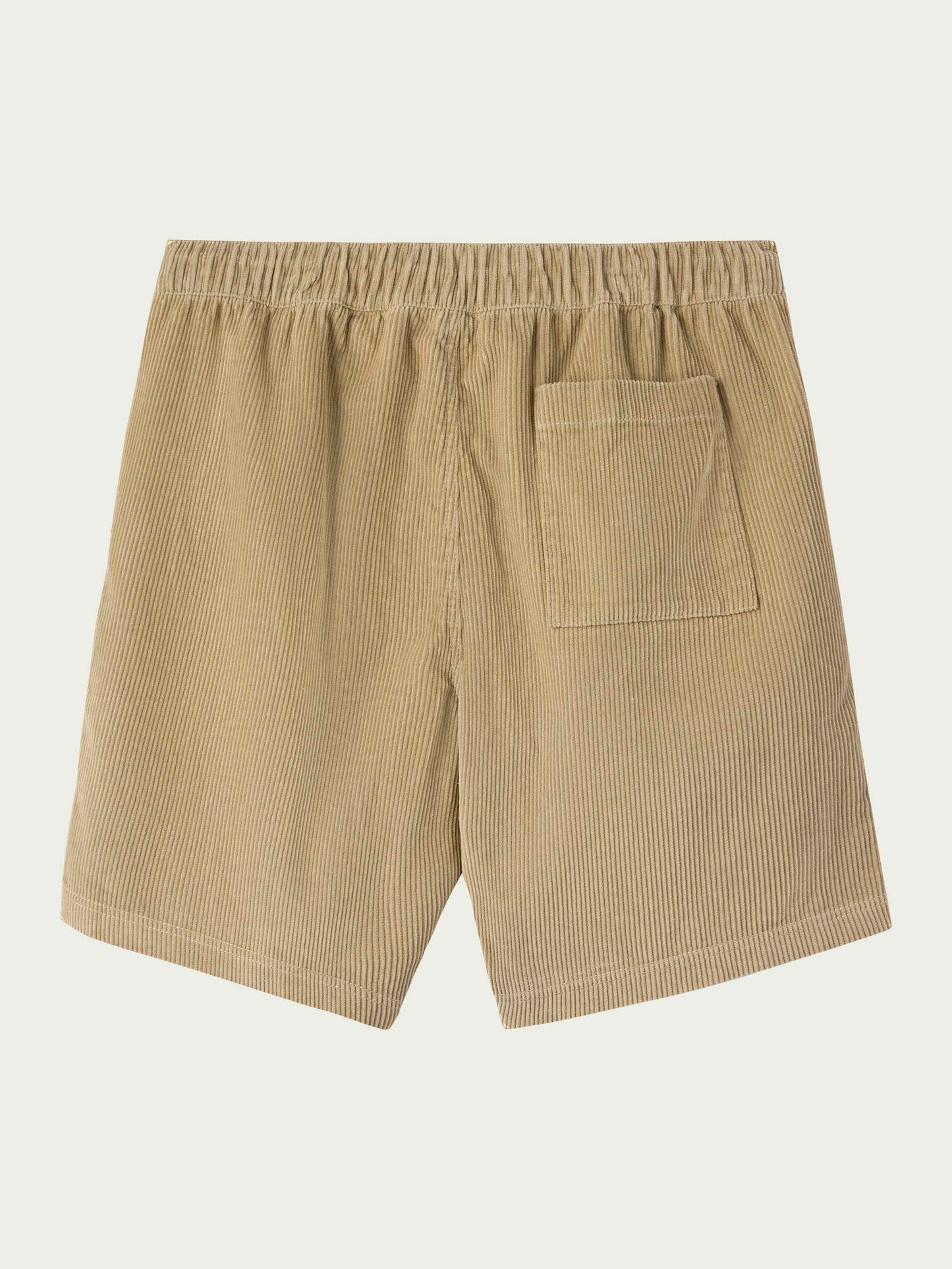 Picnic 18" Shorts