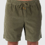 Picnic 18" Shorts