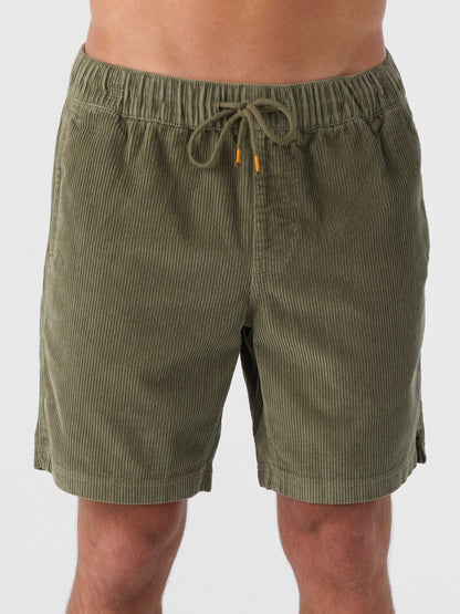 Picnic 18" Shorts