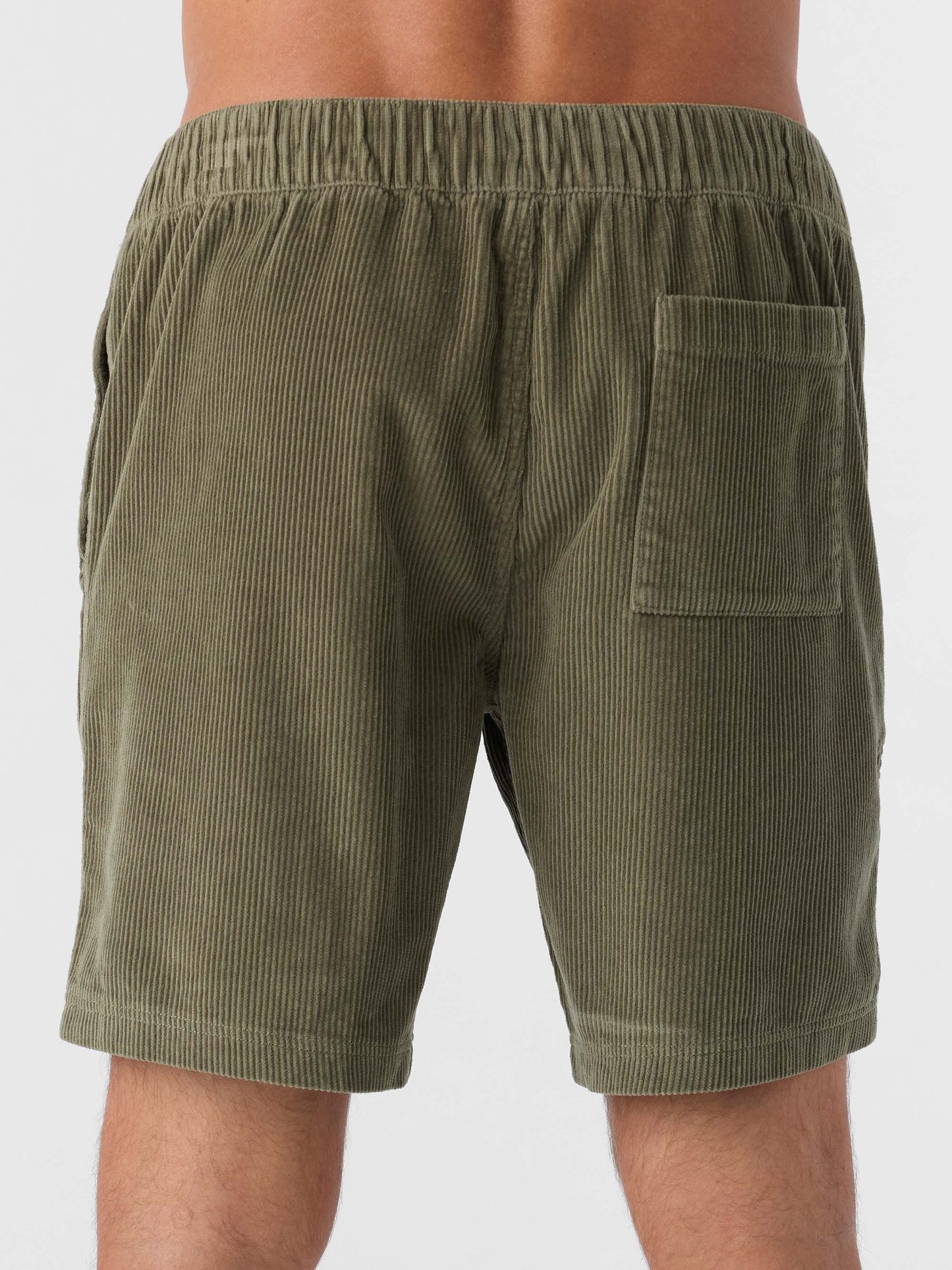 Picnic 18" Shorts